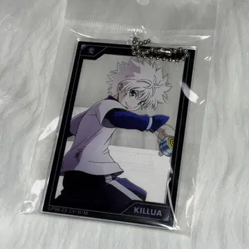 헌터헌터 신작 일러스트 키루아 싸우는 등 ver. BIG 아크릴 키링