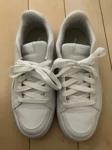 PUMA V 코트 벌크 389907