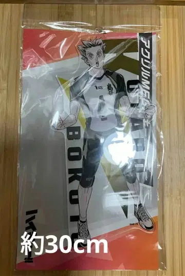 점프샵 한정판 보쿠토 코타로 특대형 아크릴 키링 30cm