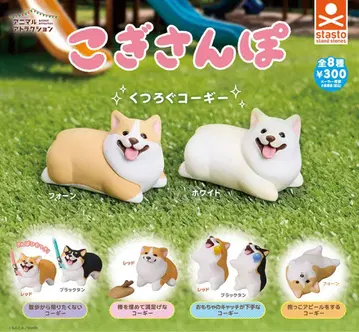 코기 산책 전 8종 코기 컴플리트