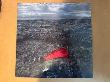 aimer 아날로그반 사이즈 sp 슬리브