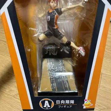 히나타 쇼요 피규어 10