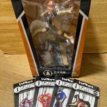 하이큐 히나타 쇼요 피규어 10