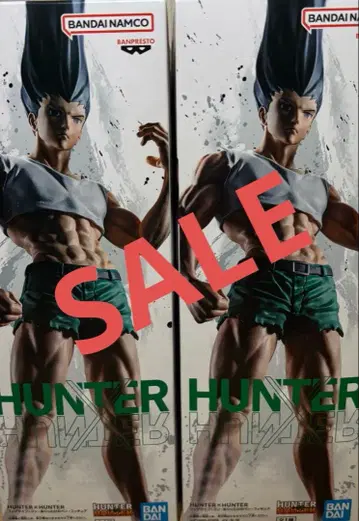 HUNTER x HUNTER 곤 피그라이프 피규어 2체 세트