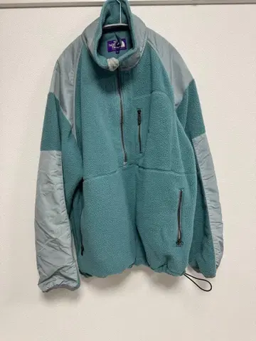 THE NORTH FACE 플리스 자켓