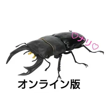 [온라인판] 오오쿠와가타 (개정) 생물대도감 사슴벌레09 곤충 생물