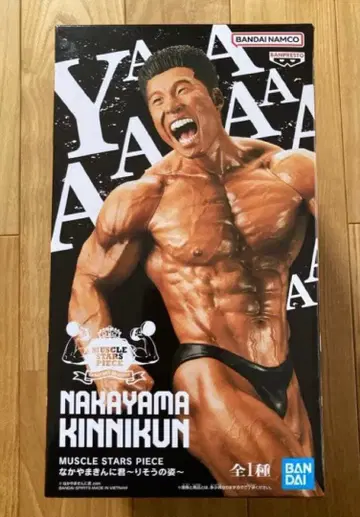 나카야마킨니군 이상적인 모습 피규어