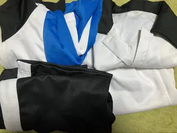 효테이 저지 4세트