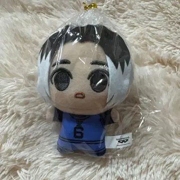 블루 록 블루 록 SD 인형 봉제 인형 아가마루 긴