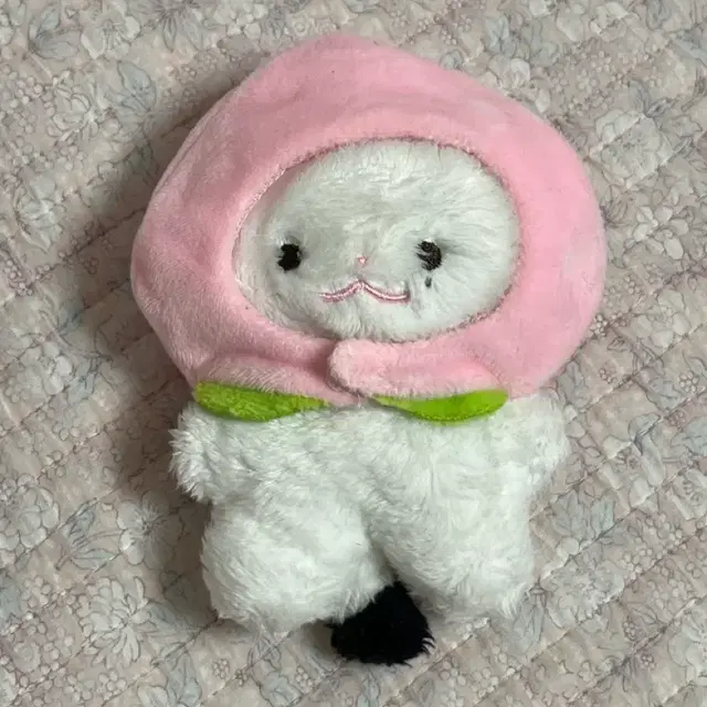 현진 현제비 스키주 지니렛 플러피현 황듀 인형 포카 이즈위 섭케이