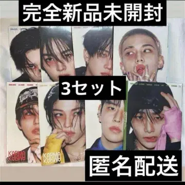 straykids 스키즈 아코디언 미개봉 트레이딩 카드