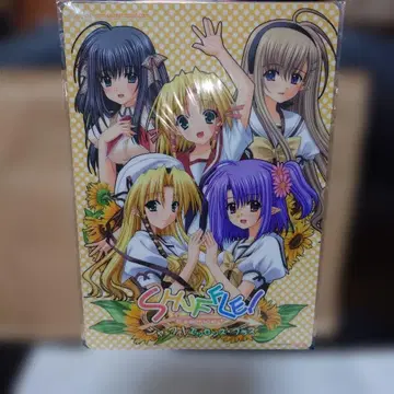 SHUFFLE 에센스 플러스 책받침