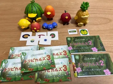 트로피컬즈 3 컴프, 트로피컬즈 2 사과, 파인애플 세트