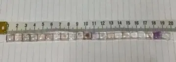 슈퍼세븐 뱅글 (장미)