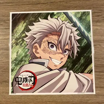 귀멸의 칼날 시나즈가와 사네미 메가 재킷 1장