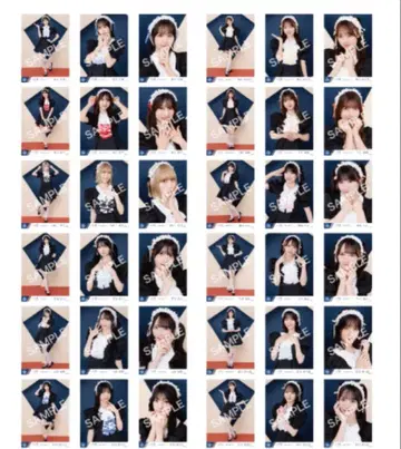 노이미 2025 특별 공연 의상 전 멤버 컴프