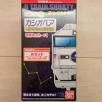 [ 미사용 ] B 트레인 쇼티 B 트레 카시오 페어 A 세트