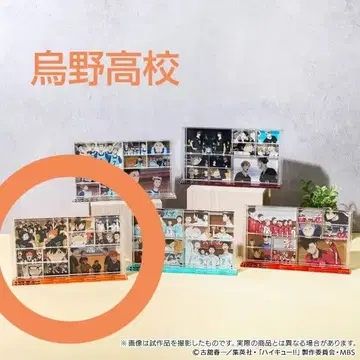 하이큐!! 메모리얼 아크릴 프레임 카라스노 고교