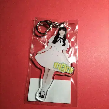 노기자카46 오가와 아야 [ samenumbers ] 아크릴 키링