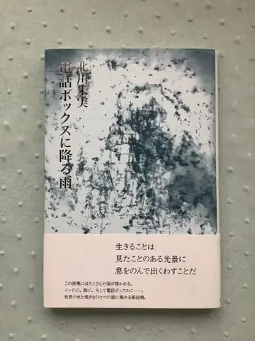 전화 박스에 내리는 비 기타가와 아케미 시초샤