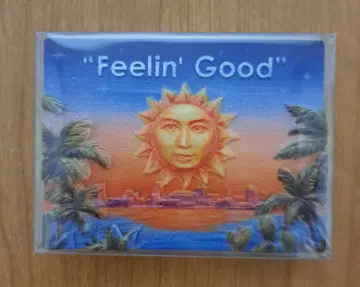 미개봉 새상품 후지이 카제 마그넷