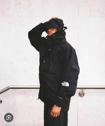 The North Face 마운틴 라이트 자켓