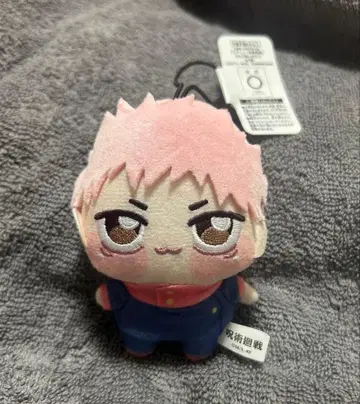 이타도리 유지 쵸피누이 푸치 주술회전 일반 버전 3