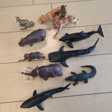 아니아 사벨 타이거와 진베이 상어 등 동물 10체