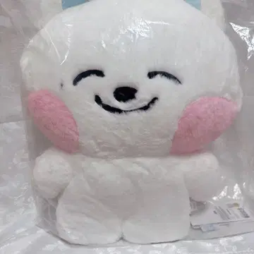 NCT Dreamiez jjed 제노 봉제 인형 LINE FRIENDS