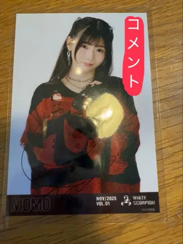 호와스피 White scorpion 브로마이드 펑크 MOMO 츄 친필