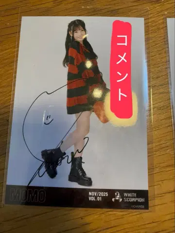 호와스피 White scorpion 브로마이드 펑크 MOMO 히키