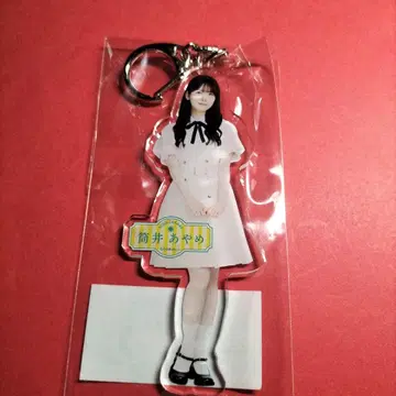 노기자카46 츠츠이 아야메 [ samenumbers ] 아크릴 키링
