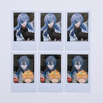 니지산지 호시미치 코야나기 가요제 2024 폴라로이드