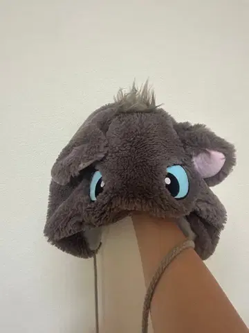 디즈니씨 베를리오즈 팬캡