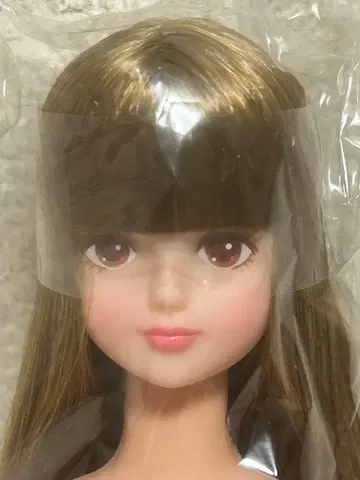 리카짱 캐슬 오타노시미 인형 시온