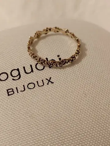 노구치 비쥬 링 wg