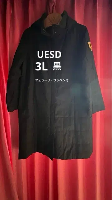 UESD 페라리 와펜 블랙 3L
