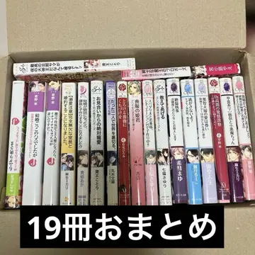 tl 소설 19권 묶음