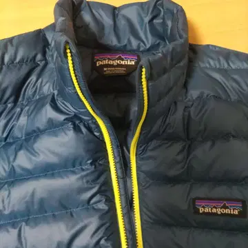 patagonia 다운 자켓 파랑