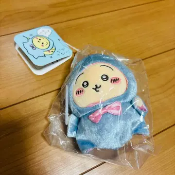 치이카와 토끼 생탄제 생일 벌스데이