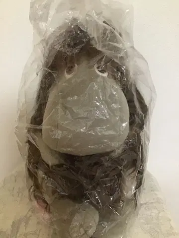 세키구치 무민 선조님 봉제 인형 대 단종 레어