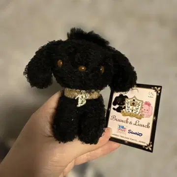 초레어 산리오 x 왕 브런치군