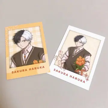 윈브레 Flower gift 플라워 기프트 포토 카드