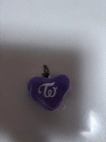 TWICE 리버서블 백참 사나