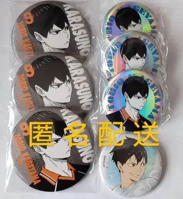 하이큐!! 카게야마 포트레이트와 물놀이