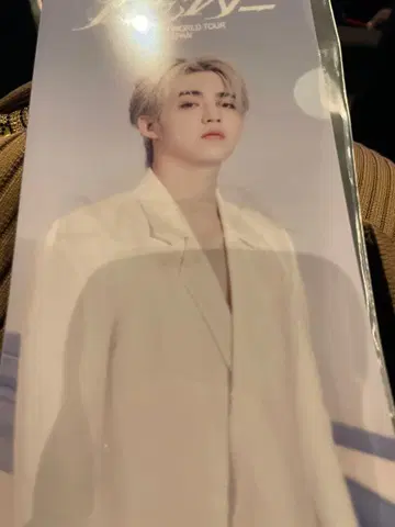 seventeen 에스쿱스 라이브 뷰잉 입장 특전 티켓 홀더