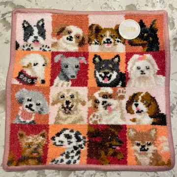 페일러 룩! 마이 도그