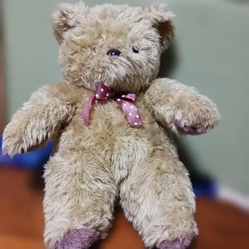 베이지색 테디베어