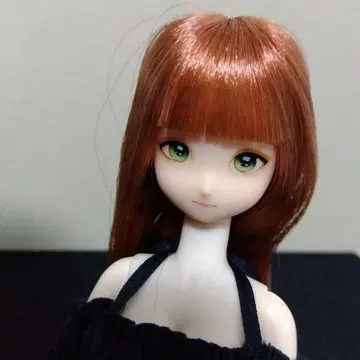 1/6 아존 오비츠 커스텀 헤드 인형용