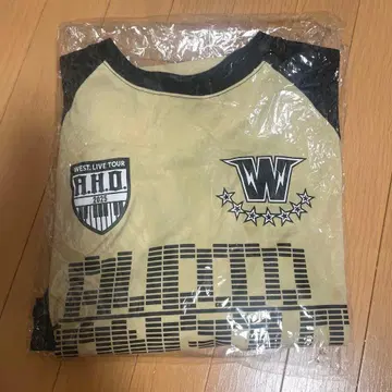 WEST. LIVE TOUR 2025 A.H.O. A.H.O.한 의류